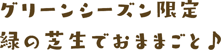 グリーンシーズン限定緑の芝生でおままごと♪