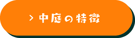 中庭の特徴