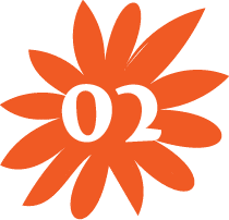 02