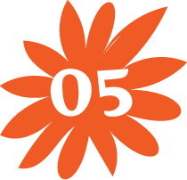05
